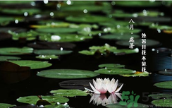 處暑如何養(yǎng)生？處暑養(yǎng)生要注意什么？