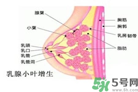 乳房上有硬塊怎么辦？乳房有硬塊的病因是什么？