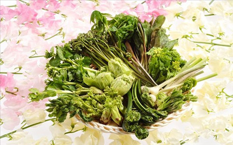 茵陳草有什么功效和作用 茵陳草泡水喝的功效