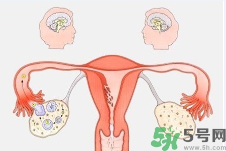 陰道出血癥狀有哪些？陰道出血需注意什么問(wèn)題？