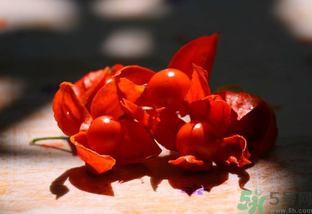 紅姑娘怎么吃？紅姑娘怎么保存？