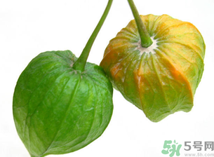 紅姑娘吃多了會怎樣？吃野生紅姑娘的好處和壞處