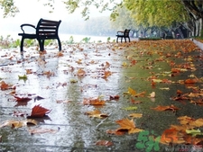 一場(chǎng)秋雨一場(chǎng)寒的意思?一場(chǎng)秋雨一場(chǎng)寒從什么時(shí)候開(kāi)始?