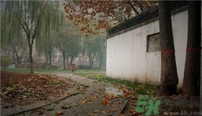 一場(chǎng)秋雨一場(chǎng)寒的意思?一場(chǎng)秋雨一場(chǎng)寒從什么時(shí)候開(kāi)始?