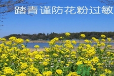 花粉過敏的表現(xiàn)是什么？如何有效的預(yù)防花粉過敏？