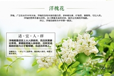 洋槐蜜是什么？洋槐蜜的作用與功效有哪些？