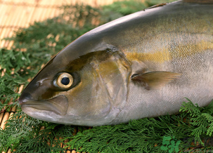 魚眼睛可以吃嗎？吃魚眼睛有什么好處？