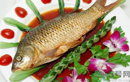 吃魚(yú)眼睛對(duì)眼睛有好處嗎？吃什么魚(yú)對(duì)眼睛好？