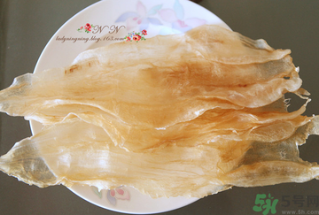 魚(yú)膠是什么？魚(yú)膠的功效與作用？