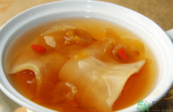 魚膠怎么燉不腥？魚膠的燉法推薦