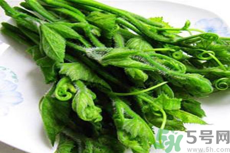 南瓜藤的功效作用有哪些？南瓜藤的食用價(jià)值是什么？