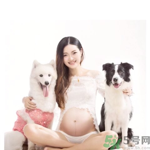 孕婦可以養(yǎng)狗嗎？養(yǎng)狗對孕婦有影響嗎？