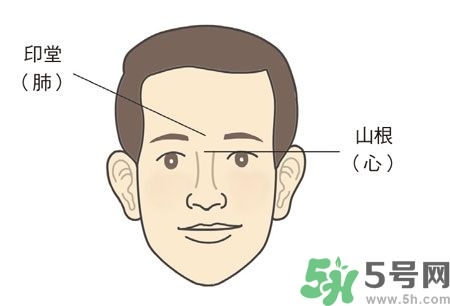 耳垂上有豎紋是怎么回事？山根有橫紋是什么病？