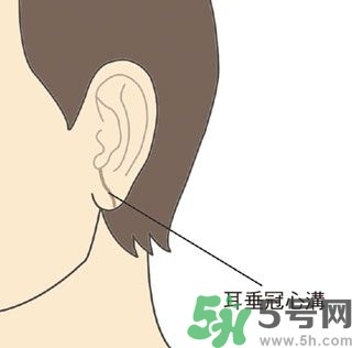 耳垂上有豎紋是怎么回事？山根有橫紋是什么??？