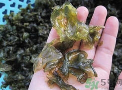 地皮菜是發(fā)物嗎？地皮菜的功效與禁忌