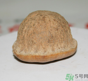 壯陽果多少錢一斤？壯陽果真的有效果嗎？