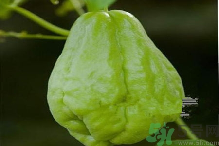 佛手瓜的功效與作用是什么？佛手瓜的營(yíng)養(yǎng)價(jià)值有哪些？