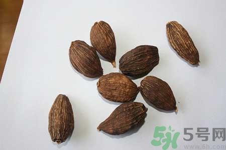 草果是什么？草果的功效與作用