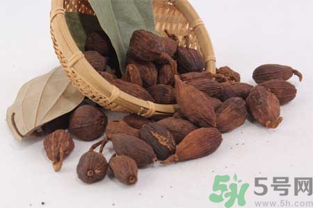 草果是什么？草果的功效與作用