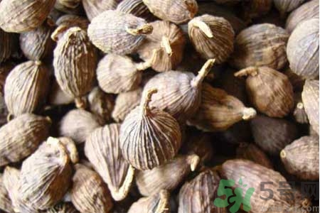 草果是什么？草果的功效與作用