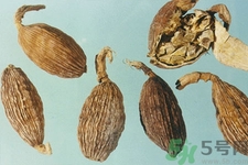 草果是什么？草果的功效與作用