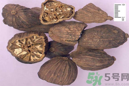 草果是什么？草果的功效與作用