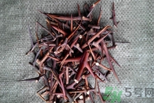 皂角刺的藥用價(jià)值是什么？皂角刺的功效與作用有哪些？