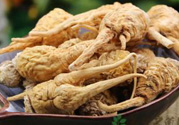 吃瑪卡有副作用嗎？吃瑪卡的副作用及禁忌