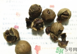 三只松鼠多少錢一袋？三只松鼠價(jià)格
