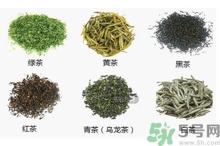 茶葉的泡法有哪些？泡茶葉的最佳水溫是多少？