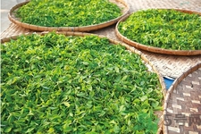 普洱茶怎么保存？茶葉能放冰箱嗎？
