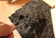 普洱茶怎么保存？茶葉能放冰箱嗎？