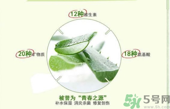 the saem得鮮和自然樂(lè)園哪個(gè)好？得鮮的蘆薈膠和自然樂(lè)園哪個(gè)好？