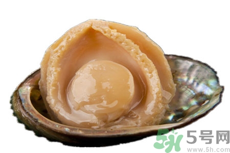 鮑魚(yú)如何挑選？鮑魚(yú)怎么保存？