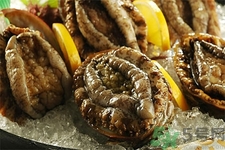 鮑魚(yú)如何挑選？鮑魚(yú)怎么保存？