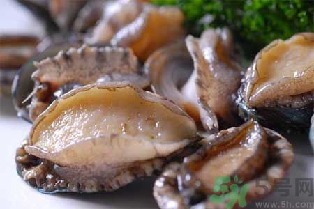 鮑魚的營養(yǎng)價(jià)值有哪些？鮑魚的藥用價(jià)值是什么？