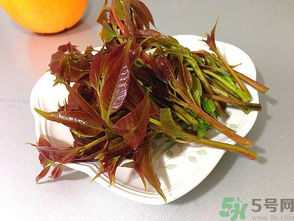 孕婦可以吃香椿嗎？孕婦吃香椿的好處及注意事項(xiàng)