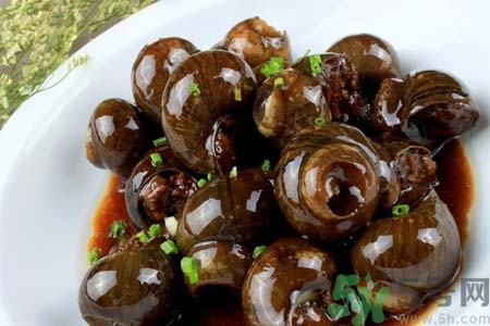 田螺肉怎樣做？田螺的營養(yǎng)價值有哪些？