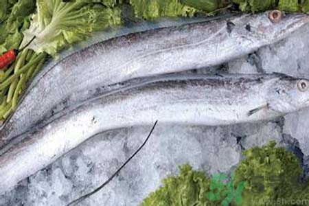凍帶魚怎么解凍？帶魚內(nèi)臟怎么洗？