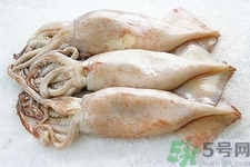 魷魚怎么處理？干魷魚怎么泡發(fā)？