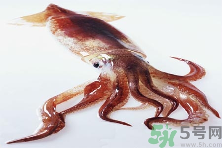 魷魚怎么處理？干魷魚怎么泡發(fā)？