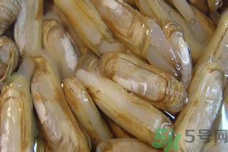 蟶子怎么洗？新鮮蟶子怎么挑選？