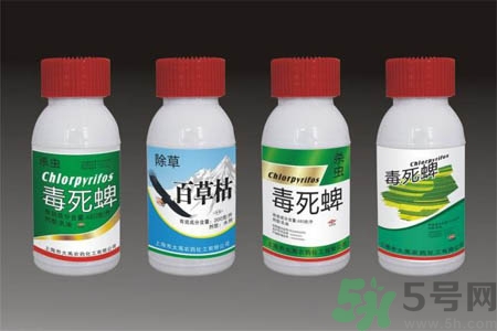 怎么洗掉水果上的農(nóng)藥？農(nóng)藥殘留的危害有哪些？