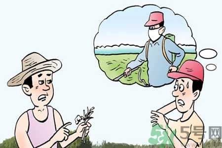 如何去除蔬菜上農(nóng)藥殘留？清洗農(nóng)藥小竅門(mén)有哪些？
