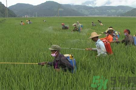 如何去除蔬菜上農(nóng)藥殘留？清洗農(nóng)藥小竅門(mén)有哪些？