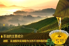茶油是什么？茶油怎么吃？