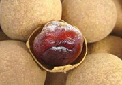 干桂圓吃多了會(huì)上火嗎？吃干桂圓上火怎么辦？
