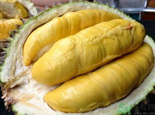 金枕頭榴蓮和普通榴蓮有什么區(qū)別？金枕頭榴蓮怎么挑？