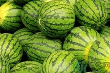 西瓜牛奶可以一起吃嗎？西瓜牛奶怎么做好吃？