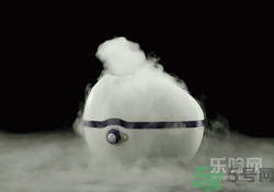 加濕器蒸臉好嗎？加濕器蒸臉好不好？